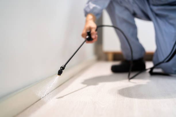 Bed Bug Pre-Treatment Preparation Assessment in Holualoa