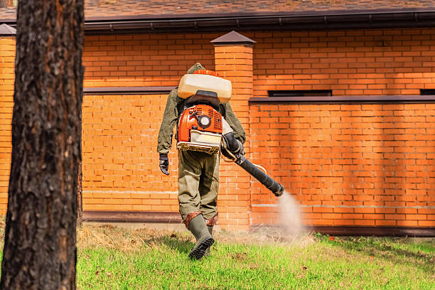 Bed Bug Clearance Verification and Documentation in Holualoa